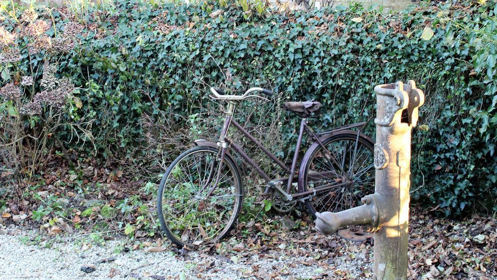 La Petite Jeusseliniere Villa Larchamp Bagian luar foto