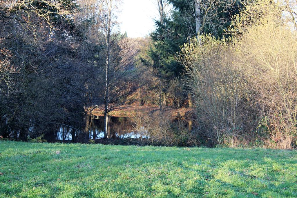 La Petite Jeusseliniere Villa Larchamp Bagian luar foto